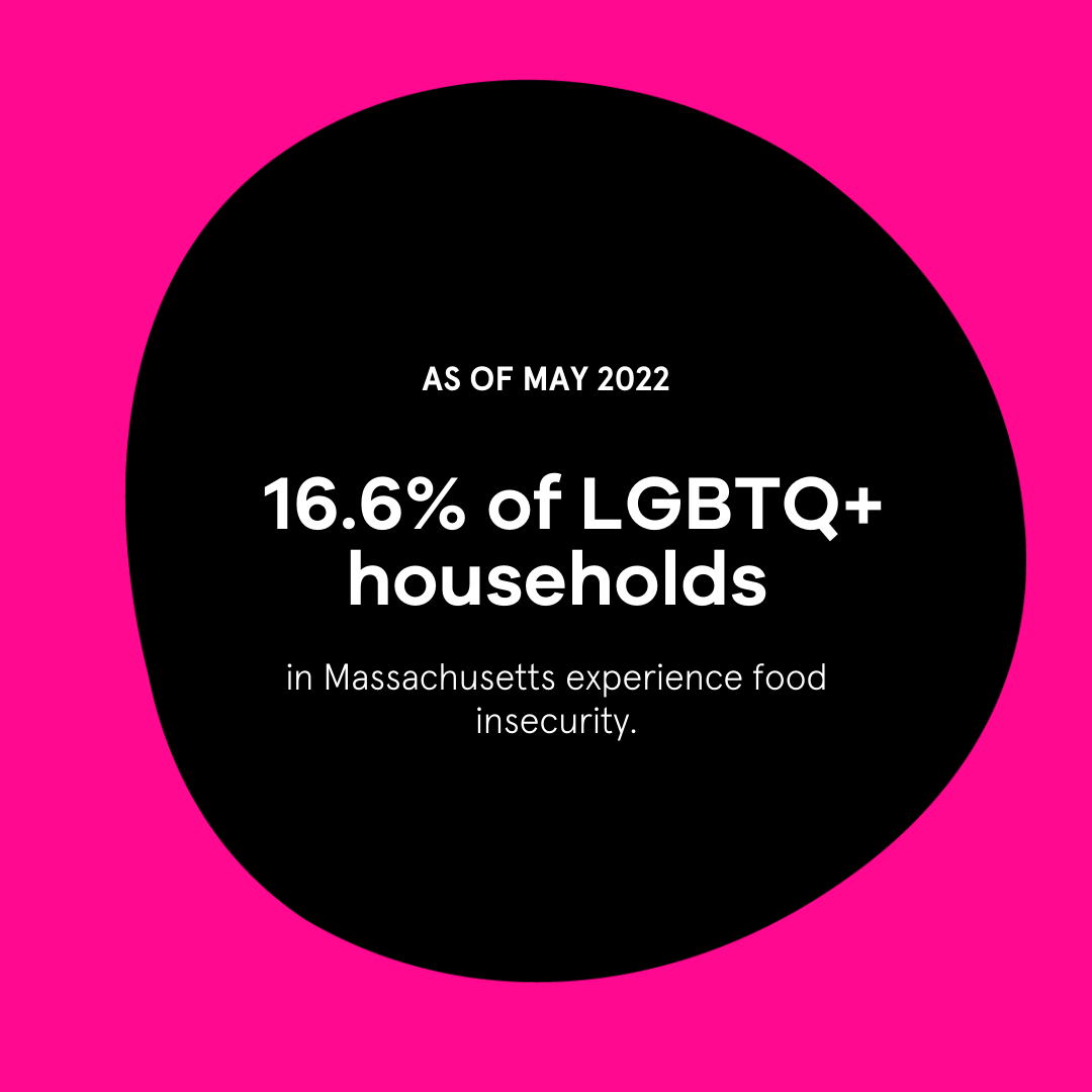 16.6% of LGBTQ+ Households in Massachusetts experienced food insecurity